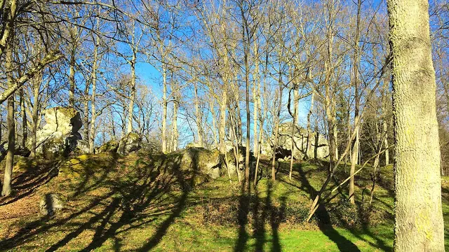 Photo de Les Bordes