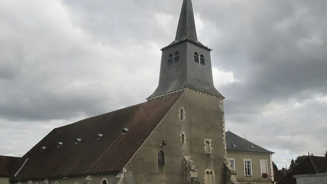 Photo de Cerisiers