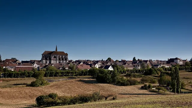Photo de Coulanges-la-Vineuse