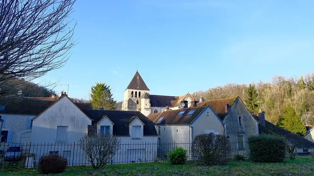 Photo de Molosmes