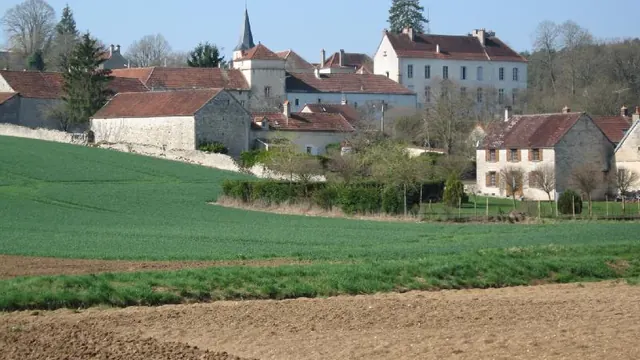 Photo de Pimelles