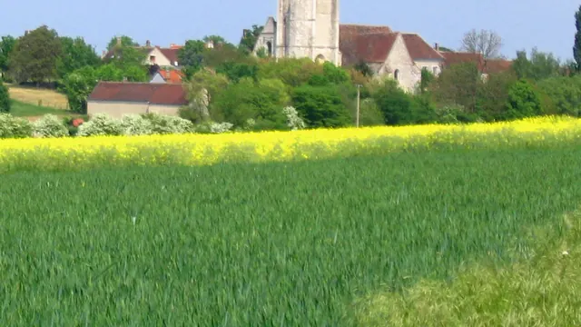 Photo de Poilly-sur-Tholon