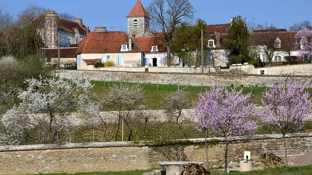 Photo de Tronchoy