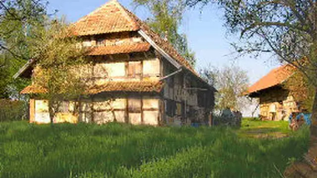 Photo de Chavanatte