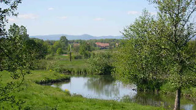 Photo de Autrechêne