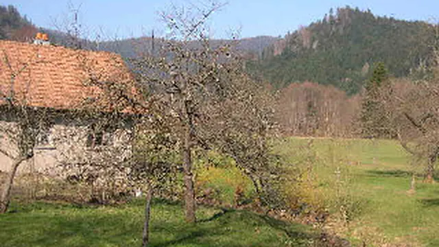Photo de Vescemont