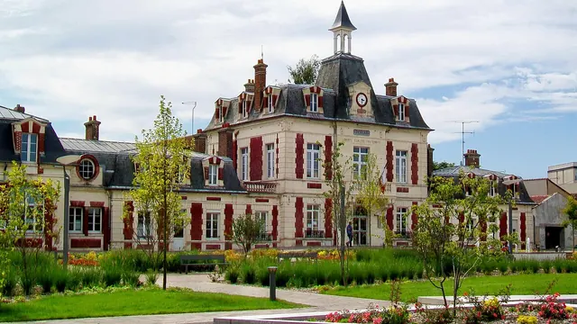 Photo de Persan