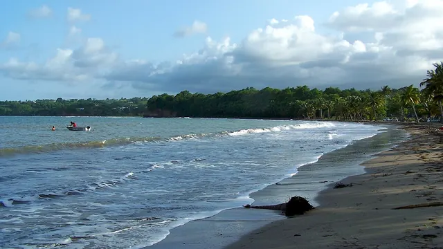 Photo de Goyave