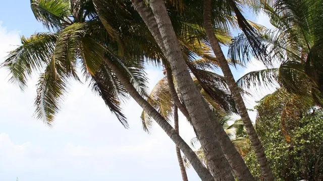 Photo de Sainte-Anne