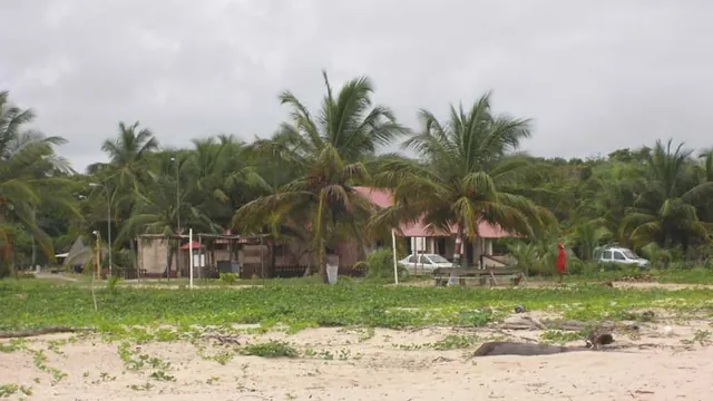 Photo de Awala-Yalimapo