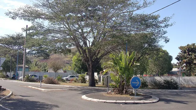 Photo de Pamandzi